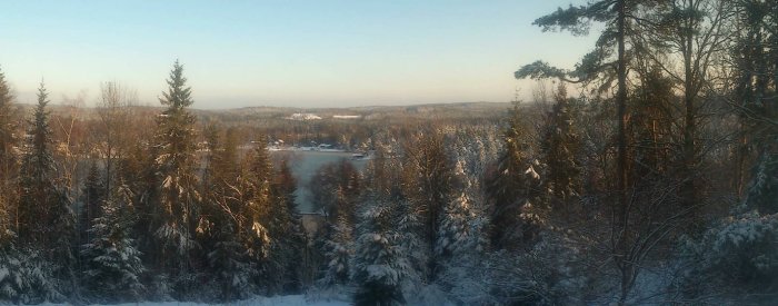 Vinterlandskap med snötäckta träd och solnedgång över stilla skogssjö.