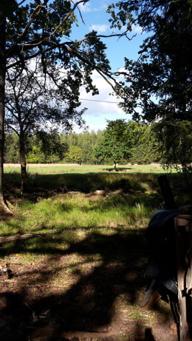 Tranquil natural landscape with trees, shadows on grass, hay bales in the distance, and part of a wooden structure.