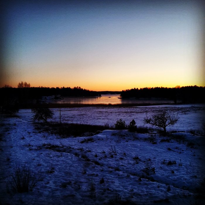 Vy över ett snötäckt landskap vid skymning med trädsiluetter mot en solnedgång och en frusen sjö.