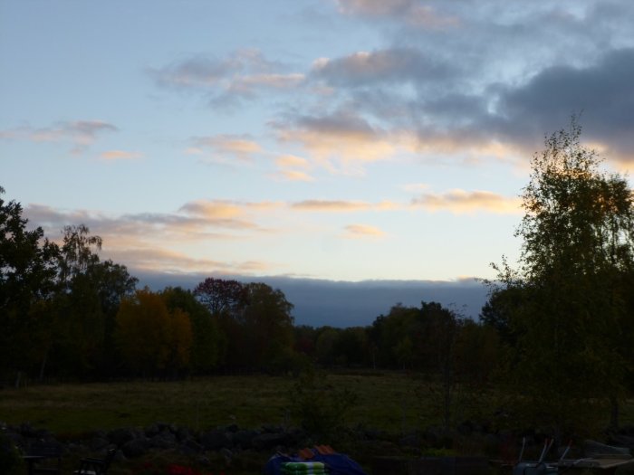 Morgonutsikt över träd och moln från ett köksfönster i Småland kl 07.41.