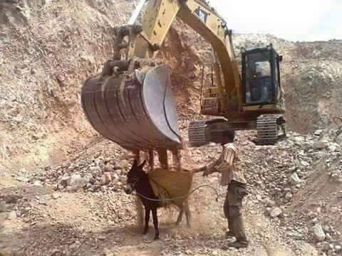 Stor grävmaskin häller grus i en liten kärra som en åsna drar, med en person som vägleder åsnan.