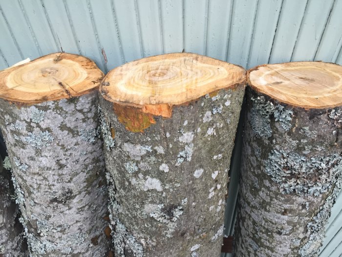 Tre avkapade trädstammar med bark, staplade intill en blågrå vägg.