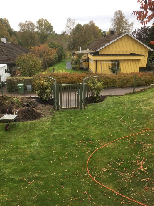 Trädgård med flyttad buske och en skottkärra, omgivet av ett staket med öppen grind och gult hus i bakgrunden.