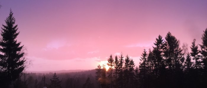 Solnedgång med rosa himmel och silhuett av träd mot horisonten, utsikt från soffläge.