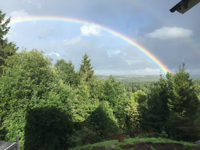 En regnbåge över en grönskande skog sett från ett fönster.