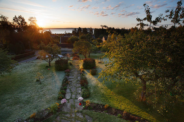 Utsikt över en trädgård vid soluppgång från en balkong med en väg som leder mot horisonten.