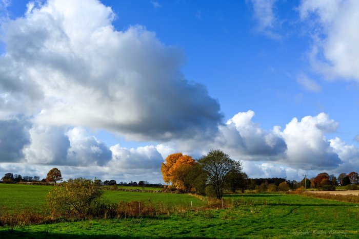 Lantligt landskap med gröna fält, träd i höstfärger och dramatiska moln mot en klarblå himmel.