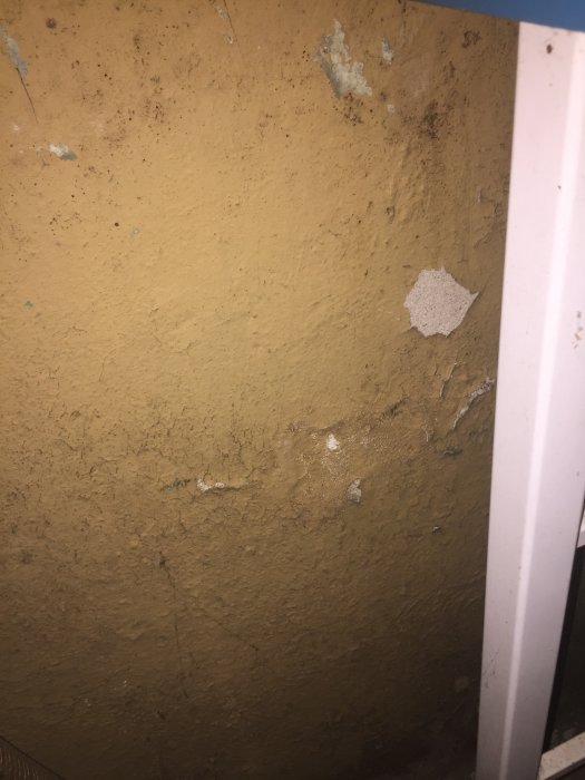 Sliten källarvägg med lossnande gulbrun färg som flagar på ytan.