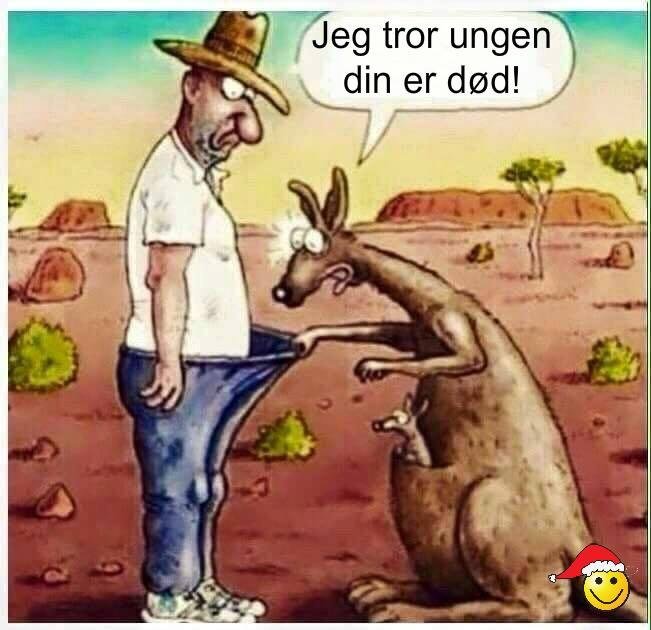 Tecknad bild av en man och en känguru i öknen där kängurun pekar på mannens byxor och texten säger "Jeg tror ungen din er død!