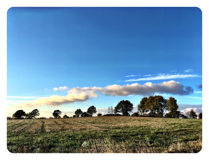 Landskap med öppet fält och träd under blå himmel med vita moln.