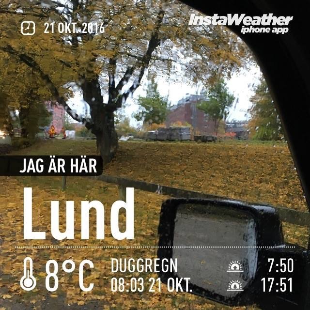 Vy från bil med duggregn på fönstret, gula höstlöv på marken, och träd, med väderappen som visar Lund och 8°C.