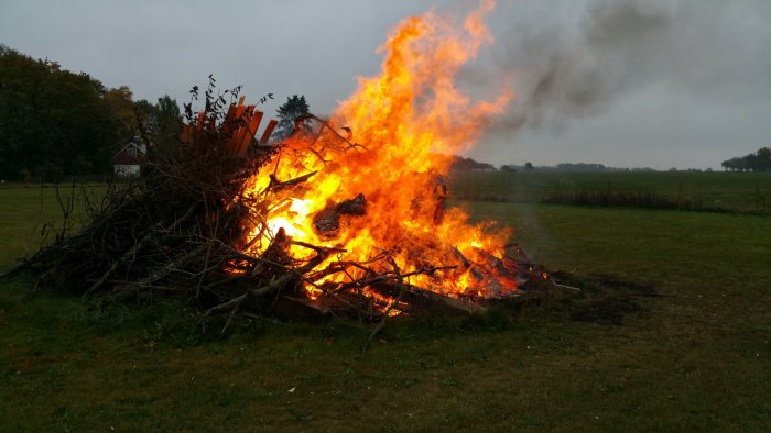 Stor brasa av fuktskadat virke och trädgrenar på en öppen gräsplats.