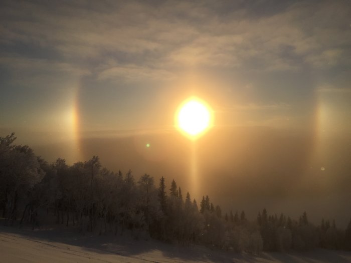 Vinterlandskap i Åre med lågt solsken och ljusfenomen, snötäckta träd, kallt väder.