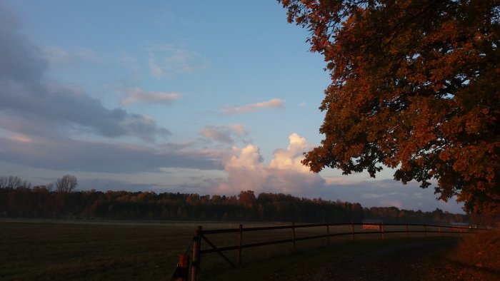 Höstigt landskap vid solnedgång med träd i förgrunden och moln på himlen.