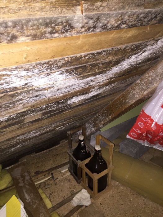 Bild på fukt- och mögelskadade träbjälkar i ett hus, med fokus på mögeltillväxt och en flaska i förgrunden.