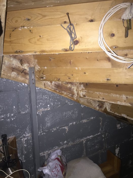 Källarförråd med fukt- och mögelskador på träpanel och murad vägg.