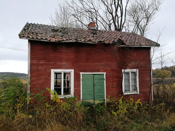 Ett förfallet rött trähus med gröna dörrar och slitna tegeltak omgivet av vildvuxen natur.