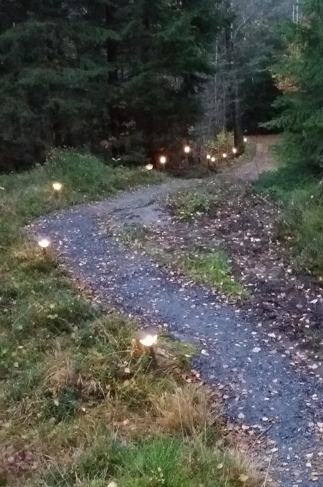 Gammal trädgårdsbelysning längs en kurvig grusgång i skymningen.