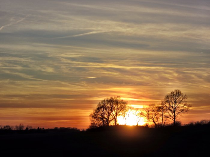Solnedgång med dramatisk himmel och träd siluetter.