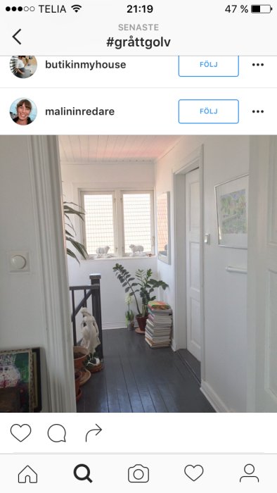 Interiör med massivt trägolv målat i grått i en ljus korridor med växter och dekor.