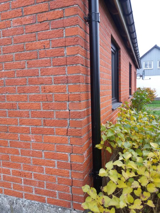 Vertikal spricka i tegelfasad vid hörn av ett äldre hus omgivet av gröna växter.