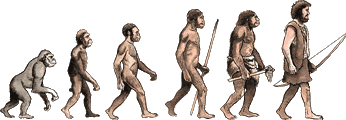 Illustration av människans evolution, från apa till Homo sapiens.