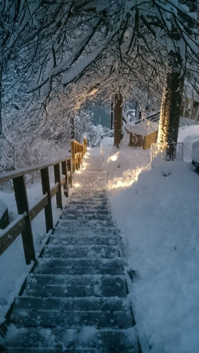 Snötäckt trappa utomhus med belysning och träd i vinterskrud.