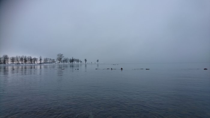 Dimmigt landskap med träd vid Vadstenas vattenkant på morgonen.