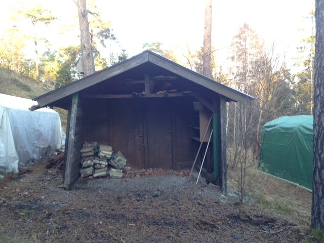 Förfallna garaget omgivet av träd, med synligt trasigt tak och staplad ved vid sidan.