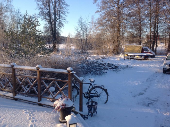 Vinterträdgård med snö, nedfallna grenar, täckt cykel och släpvagn, och spår i snön.