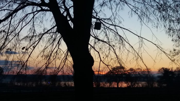 Solnedgång bakom silhuett av träd vid Vombsjön, med färger av orange och blått på himlen.