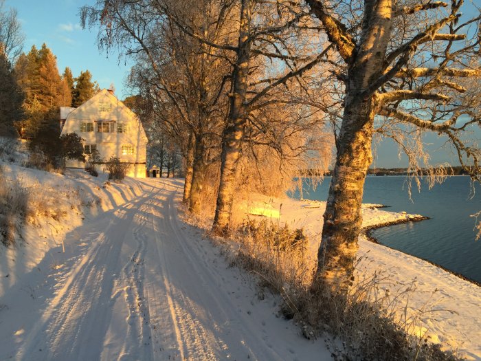 Snötäckt väg leder till ett hus vid sjökanten i vintersolnedgången, med renoverad fasad och björkar i förgrunden.