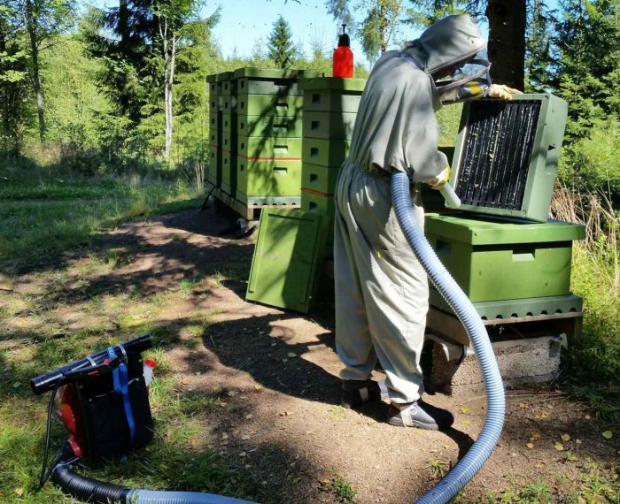 Person i biodlardräkt kontrollerar en honungskaka vid bigård med ombyggd lövblåsare i förgrunden.