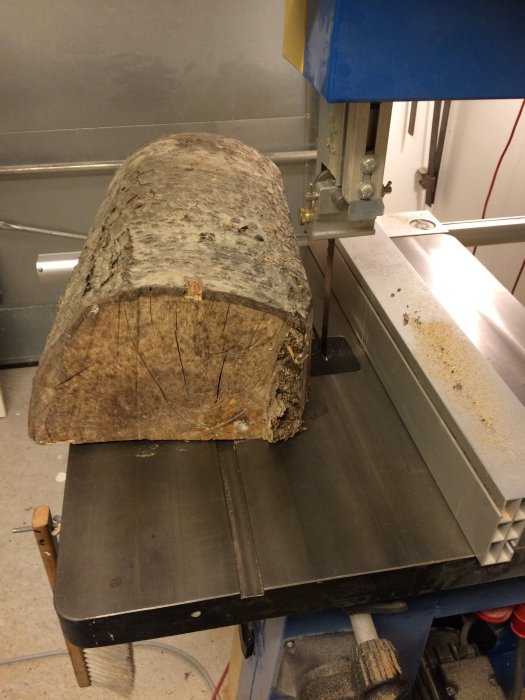 En bit almträ som ligger på bandsågens bord redo att sågas upp.