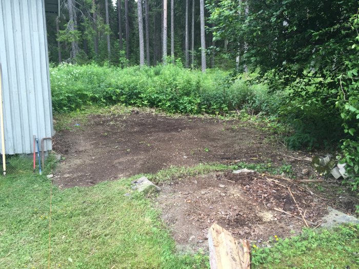 Markområde framför skog rensat för etablering av hundgård, intill grå byggnad.