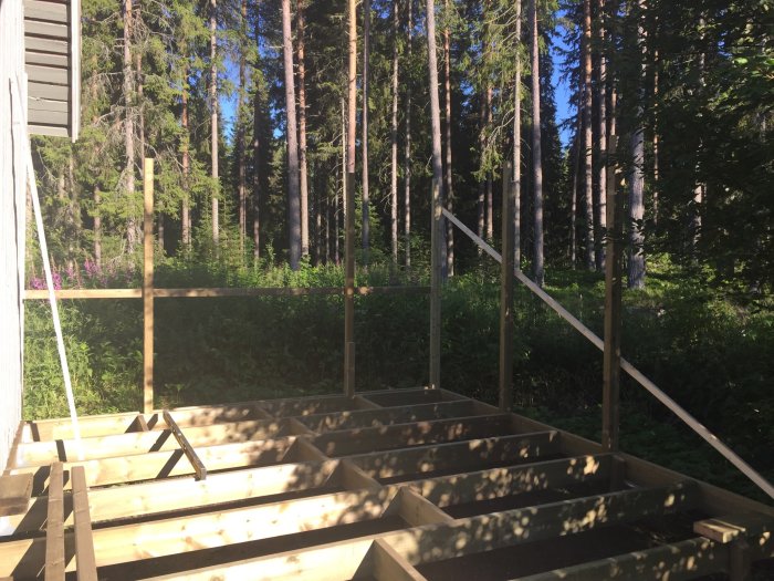 Påbörjat bygge av en hundgård med träramar och stolpar nära en skog.