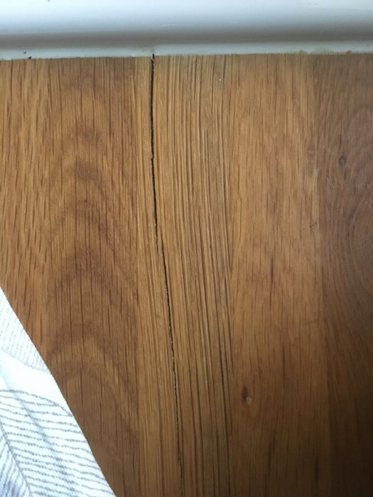 Glipa mellan två trägolvplankor nära vit vägglist.