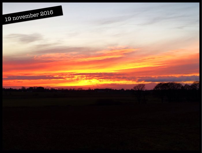 Dramatisk solnedgång med rika orange och rosa toner över det skånska landskapet, datumstämpel 19 november 2016.