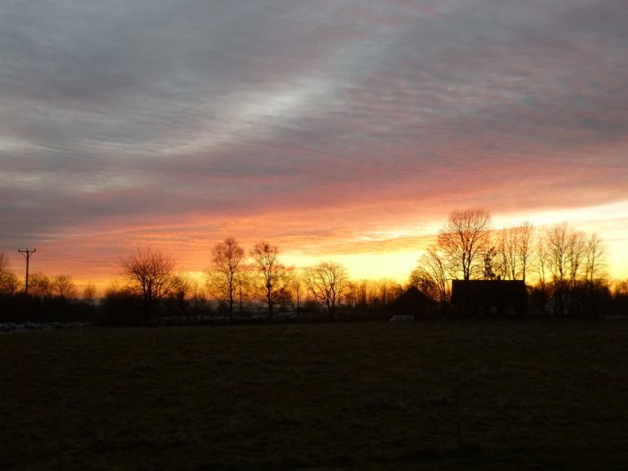 Solnedgång med orange och rosa himmel över landskap med silhuett av ett hus och träd.