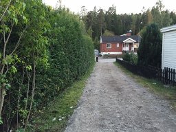 Tomtgräns med höjdskillnader bredvid häck mot grusdriveway och hus i bakgrunden.