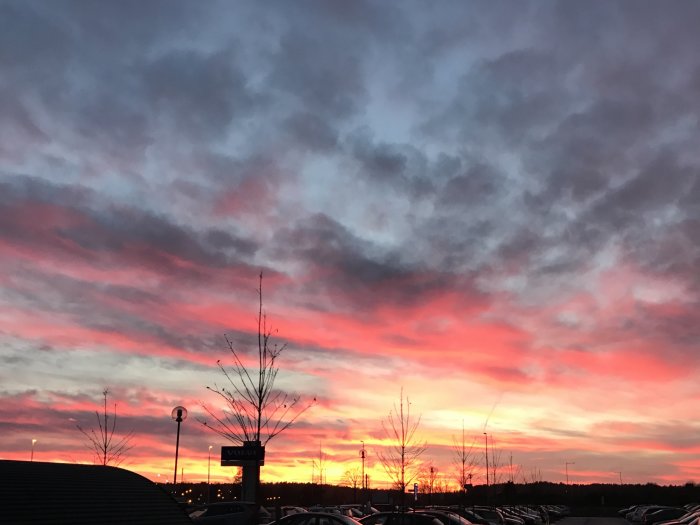 Dramatisk solnedgång med röd och orange himmel över en parkeringsplats med silhuetter av träd och bilar.