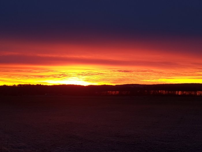 Solnedgång med intensiva röda och orange färger över ett öppet fält och silhuetter av träd på Ekerö.