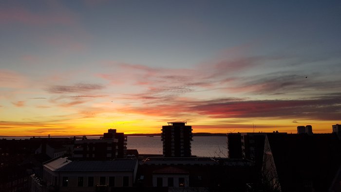 Solnedgång över Öresunds silhuetter av byggnader och lugnt vatten.