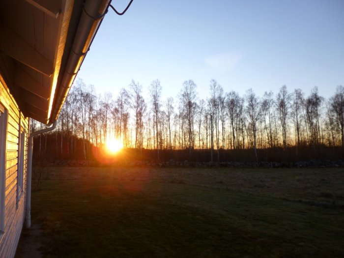 Soluppgång syns över ett fält med träd silhuetter och klar himmel från en huskant.