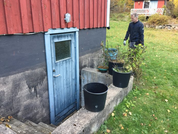 Grå husvägg med slitage och blå dörr, krukväxter på trappan och man i trädgården på höstlig dag.