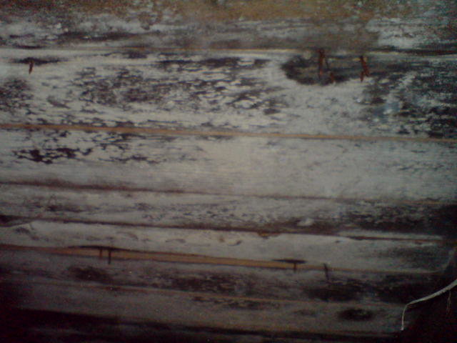 DSC00130.JPG