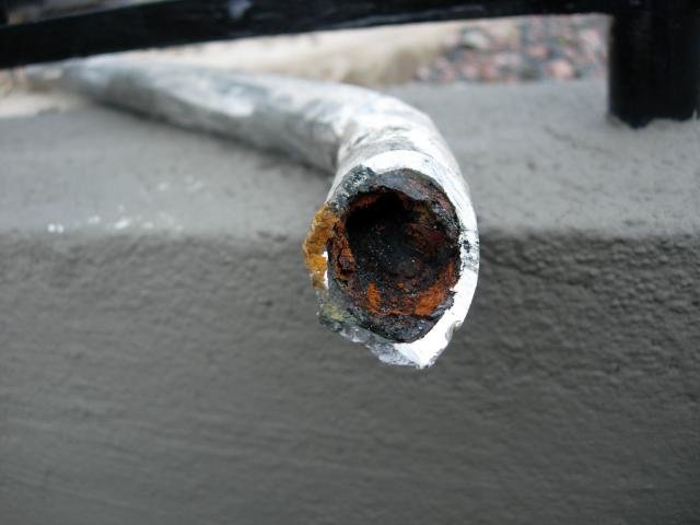 DSCN6569.jpg