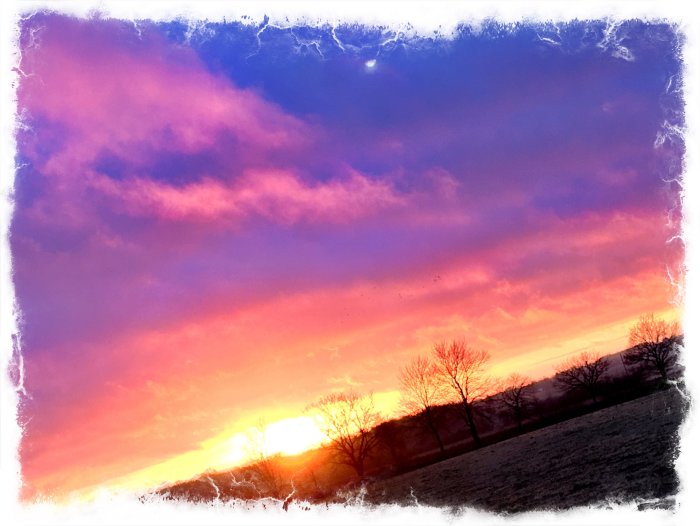 Färgrik himmel i skymning med rosa och orange nyanser över en silhuett av vinterträd och ett fält.