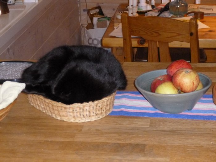 Svart katt sover i en korg brevid en skål med äpplen på ett köksbord.