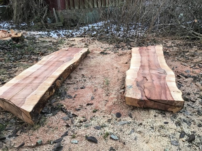 Två stora träslabbar av päronträd placerade på marken utomhus för torkning.